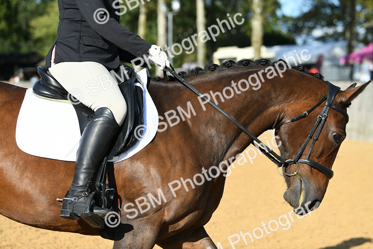 SBM_28420 - D16 - Small Tour Championship - Novice 28