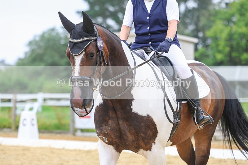 3E7A5433 - Class 2: Intro 4 2024 section B