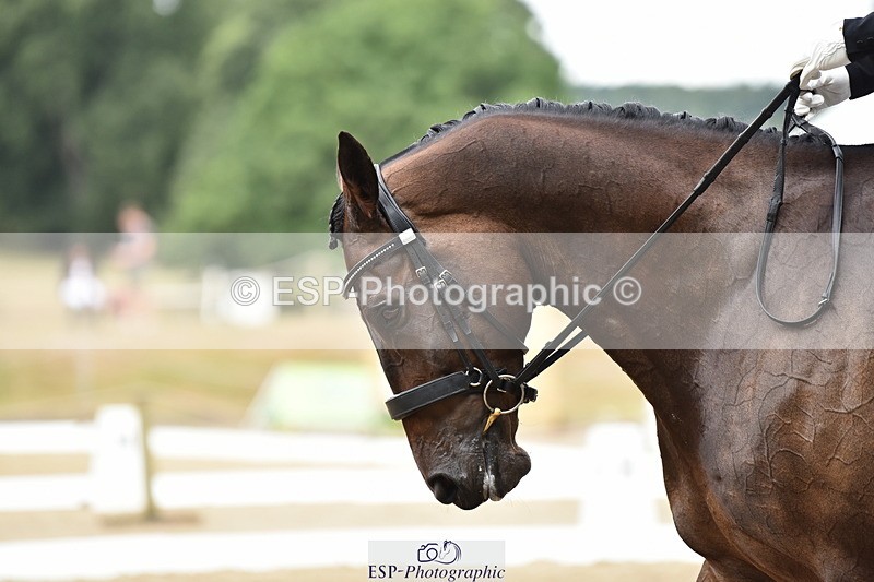 140110A-011242-10857 - 132-Jodie.Coombes-Tattygare.Last.Delight