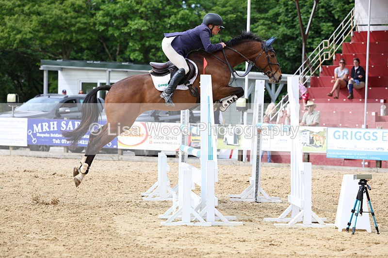 3E7A7797 - Class 8: Senior Foxhunter/1.20 open