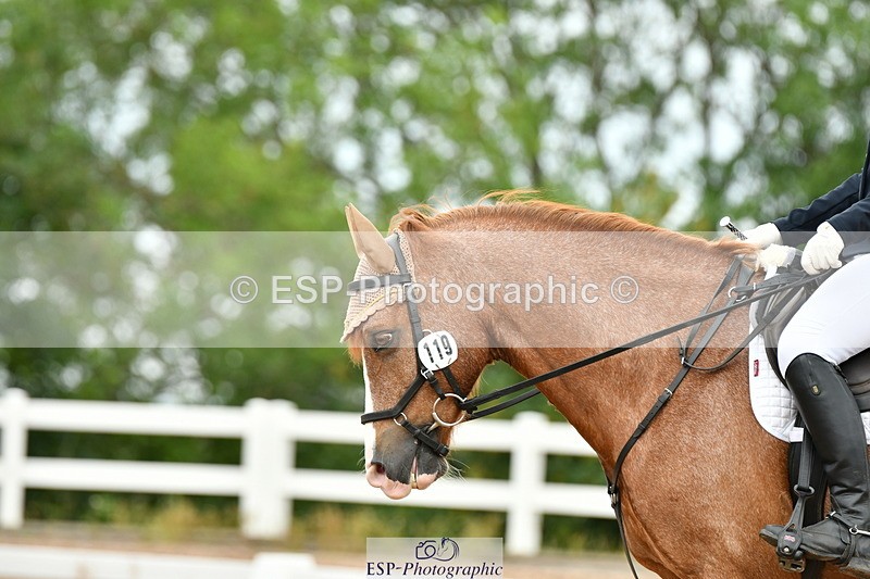 230701A-101803-04720 - Cls 4 Novice 23