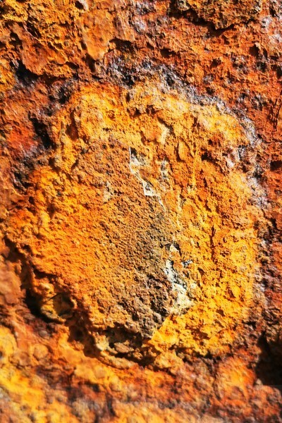  - Detail in Landscape