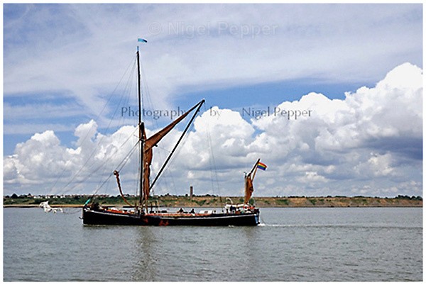 Day after the Race - Thames Sailing Barges and Smacks