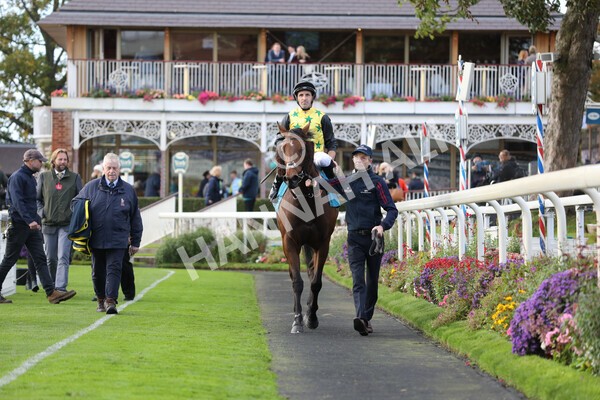 yr07102022r5-27 - Race 5 4.25pm Copper Knight Winningmost Horse Stakes