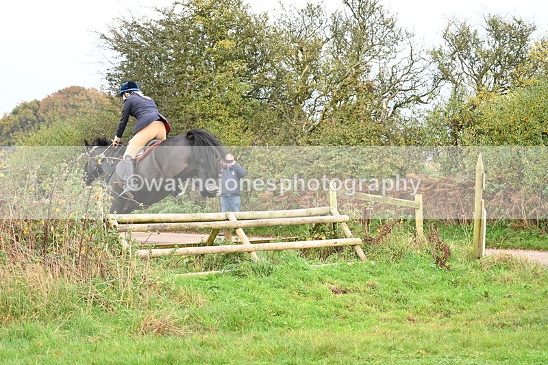 WJ7_0289 - Camera 1 & Last fence