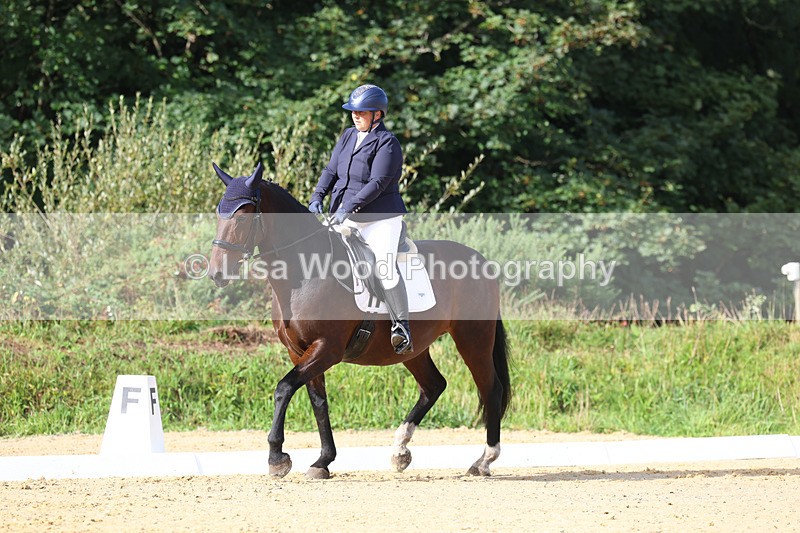 3E7A2038 - Class 1: Intro 4 2024 section A