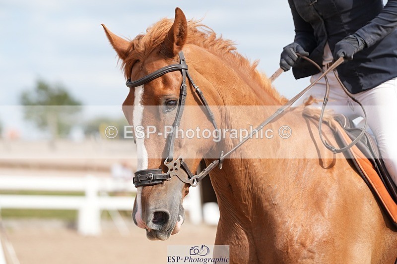 250802-162708-11214 - Cls 25 Senior 1.15 Open (inc Members Cup)