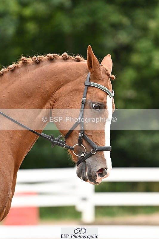 240817A-155436-10221 - 273-Melanie.Haslock-Minnie.I