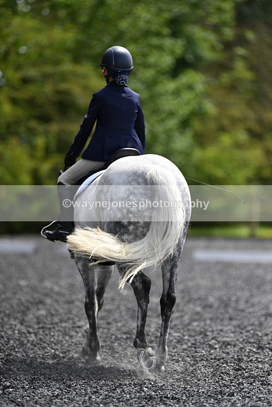 WJ5_1569 - Time 14:20 to 15:01