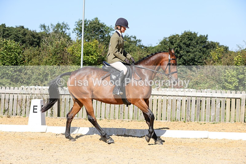 1X9A7877 - Class 10:Riding Horse