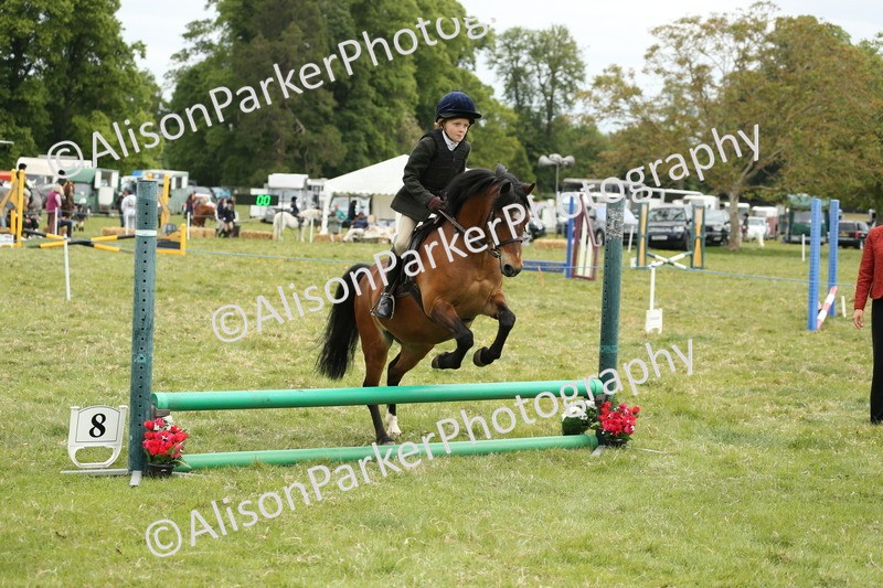 20250517-1204 - Class 21 - Novice Working Hunter