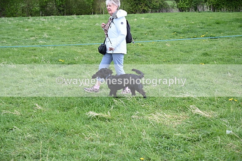 WJ6_8083 - Class 2 Best Pedigree