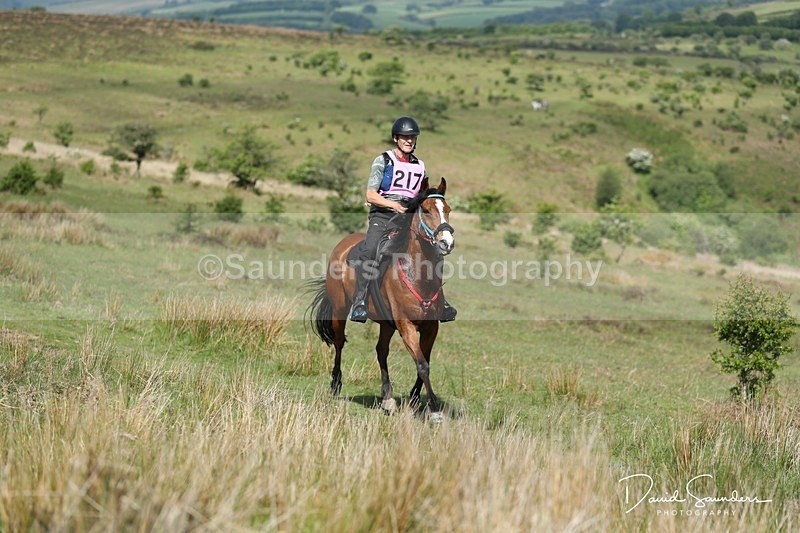 SPXX0123 - 217
