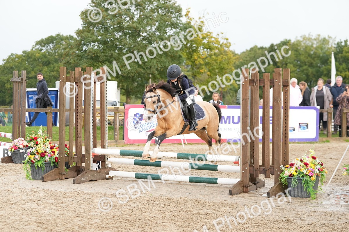 SBM_32341 - J5 - Junior Pony 50cm Championship