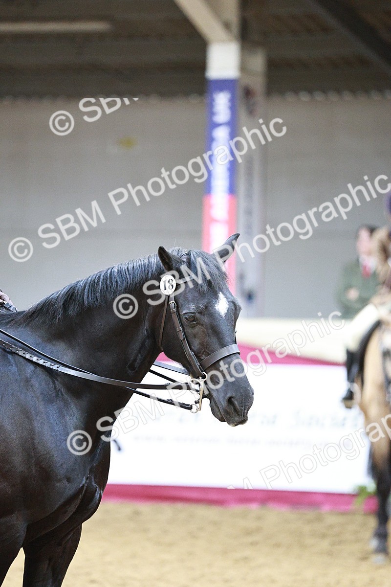 SBM_03490 - Class 6A Area Ridden Pre-Vet