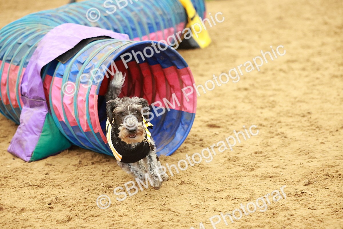 SBM_001624 - Class 3 - Horse & Hound (60cm)