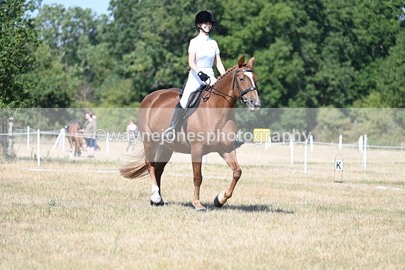 WJ7_9965 - Time 11:03 to 11:28