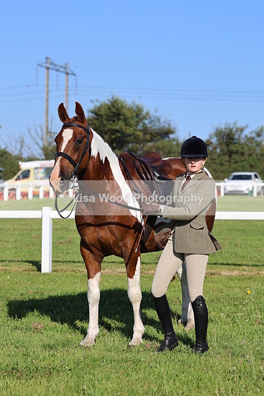 IMG_1300 - Class 27: Ridden Plaited Coloured Horse