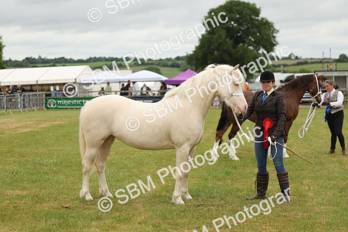 SBM_02422 - Class 50-57 - M&M Welsh Pony In Hand