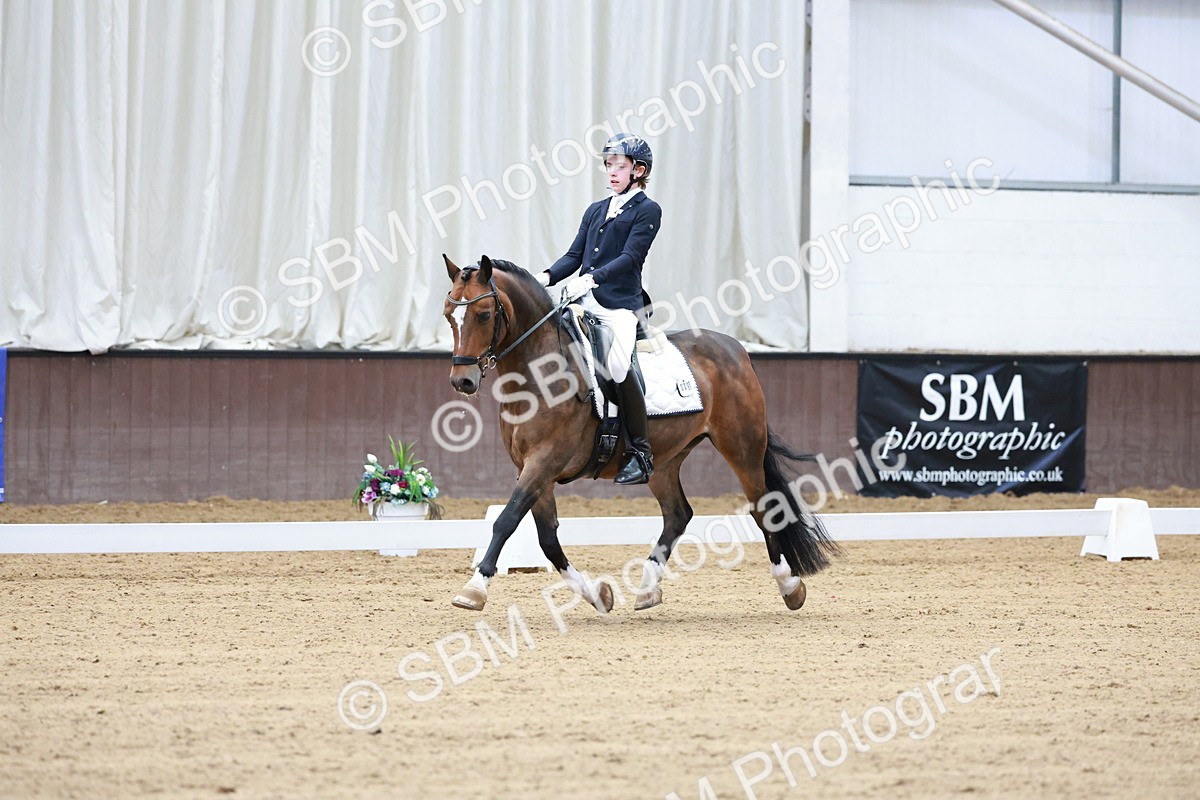 SBM_017146 - Class15 - FEI Pony