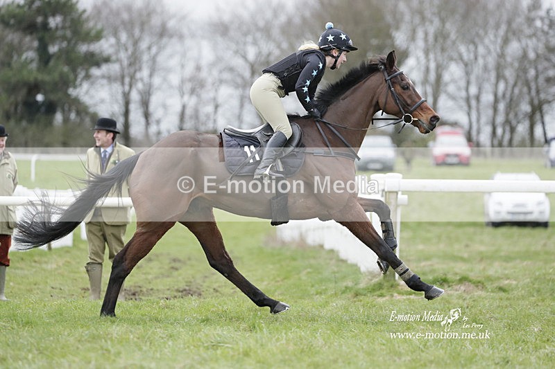 PtP 260323 0190 - New Forest Hounds Point-to-Point Larkhill 26/03/23