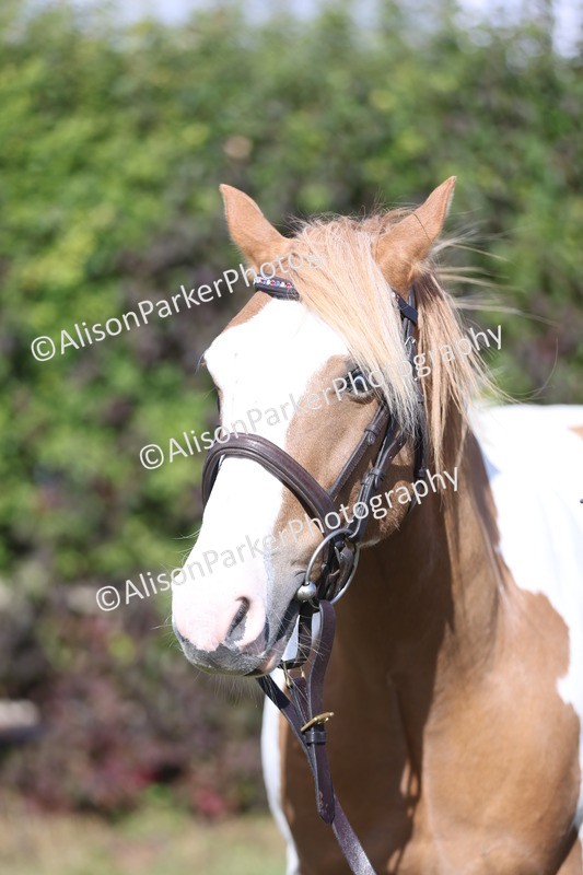 20250831-1435 - Class 21 - Inhand Open