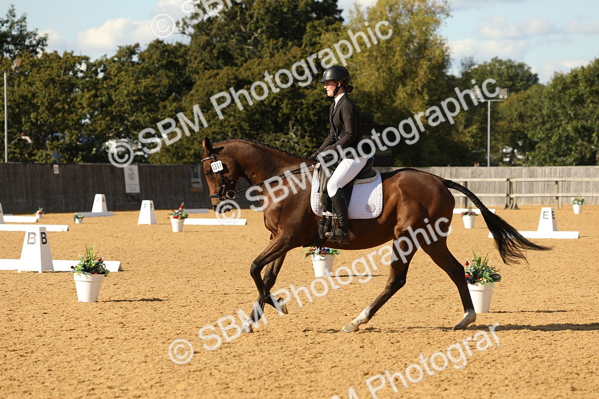 SBM_26805 - D17 - Grand Tour Championship - Novice 27