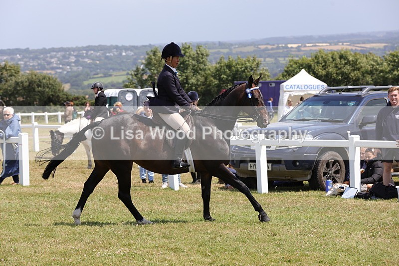 1X9A4591 - Class 34: Veteran Ridden