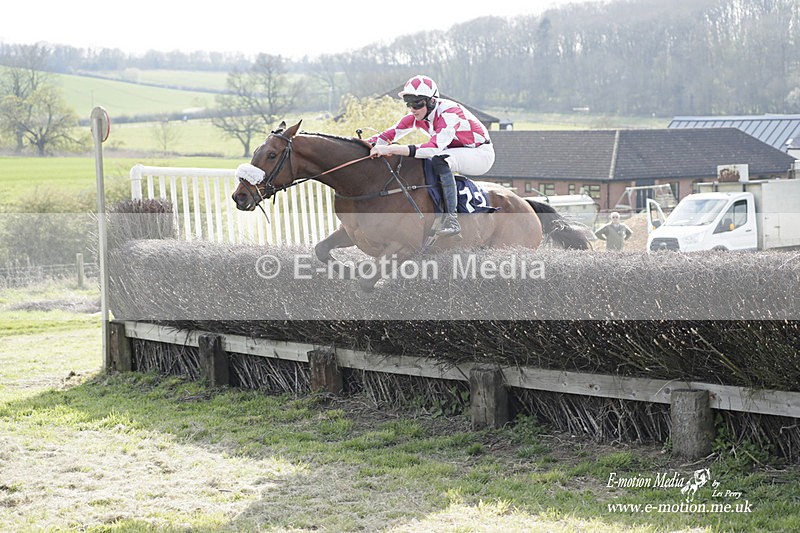 PtP 080423 593 - Dingley Races The Woodland Pytchley Hunt PtP 08/04/23