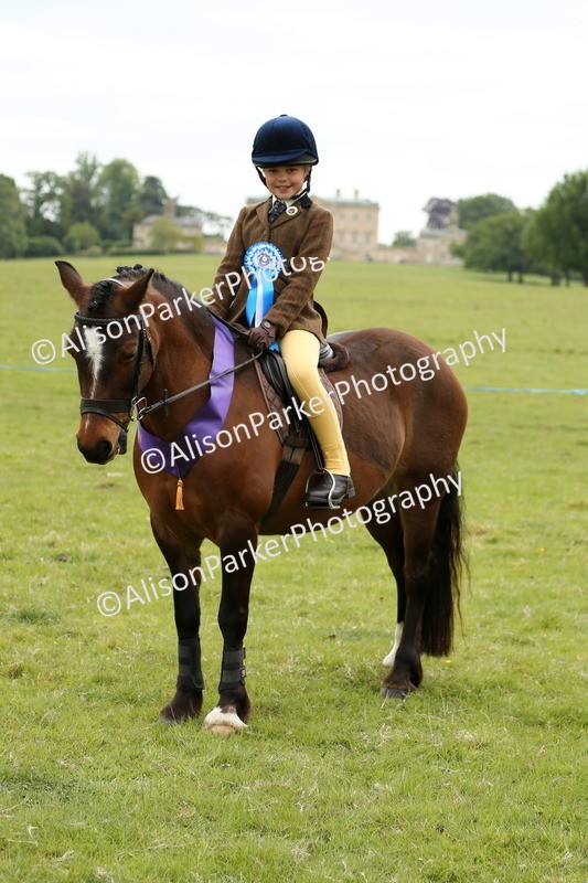 20250517-1211 - Class 21 - Novice Working Hunter