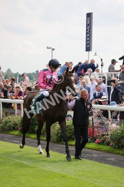 yr20082021r2-32 - Race 2 2.25pm Weatherbys Hamilton Lonsdale Cup (British Champion Series race)