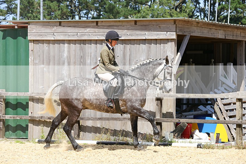 1X9A8784 - Class 19: Riding Club Horse