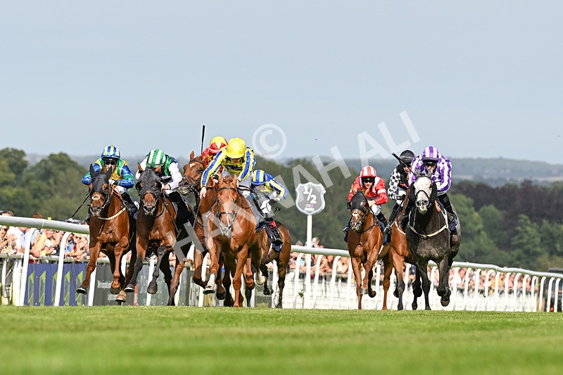 140824-Race 6-Glistening Nights-3841 - Race 6