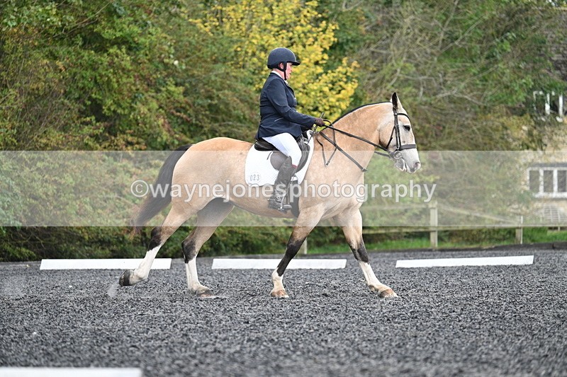 WJ7_4519 - Time 11:43 to 12:09