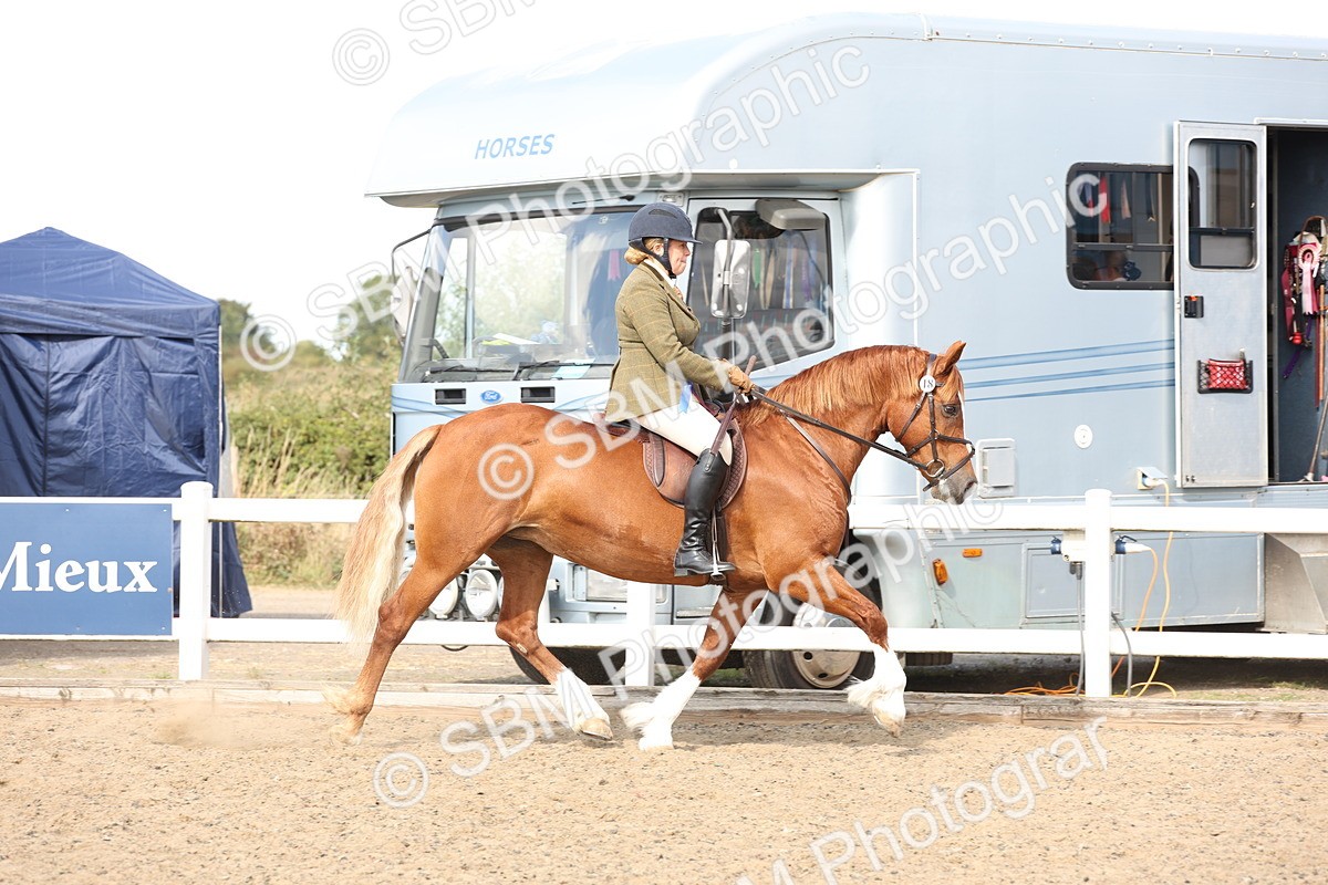 SBM_06822 - Class 58a -  Style & Performance - 70cm (15-19)