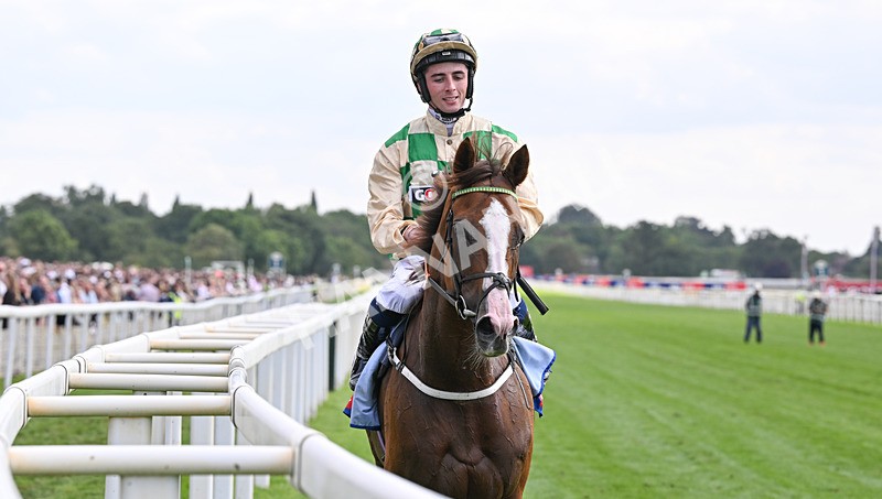 220826-159 Daiquiri Bay - Race 4 15.35pm Sky Bet Ebor Handicap