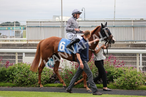 yr23072021r5-4 - Race 5 8.00pm Gallop Racing Stakes