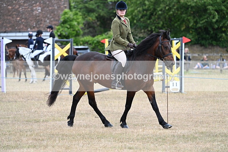 WJ7_0616 - Class 6 Ridden Mountain and Moorland