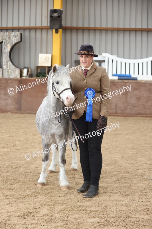 20251109-0679 - Class 22 - Geldings 4 Years and over