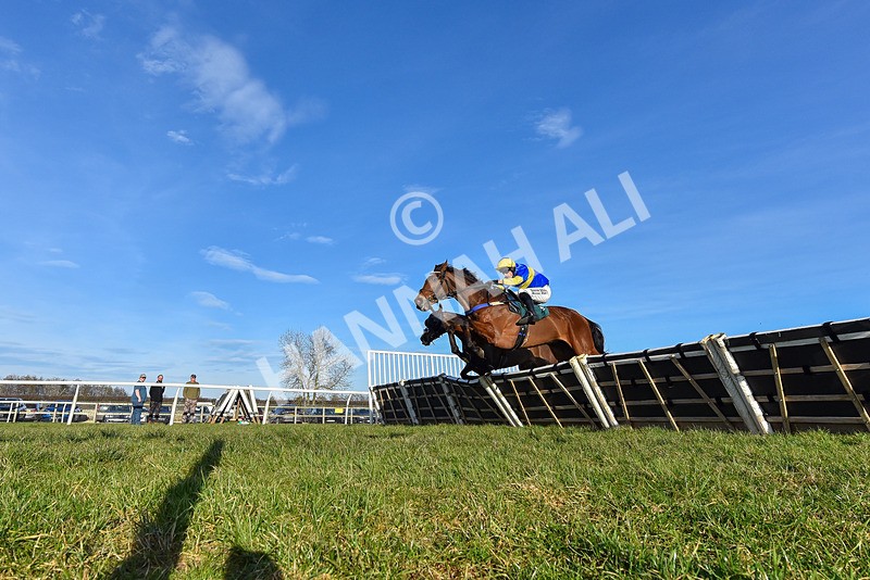 050325-Race 4-Hostile Hotelier-0996 - Race 4