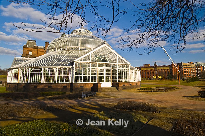Winter Gardens, People's Palace, Glasgow - 7132 - Scotland