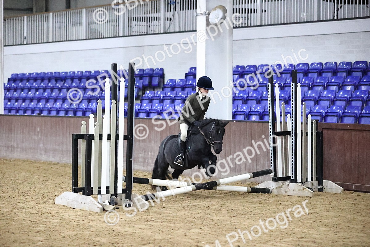 SBM_000026 - Class 1 - Fox Farriers 30cm