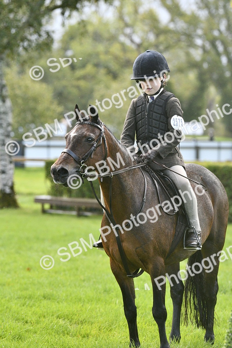 SBM_37182 - S31 - Novice & Newcomer Working Hunter Pony