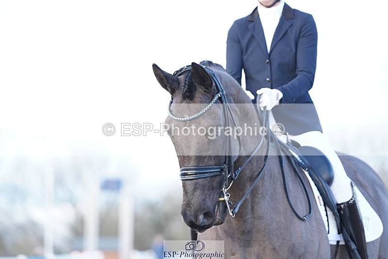 241214-155618-02285 - 139-Holly.Kerslake-Platinum.Cabachon