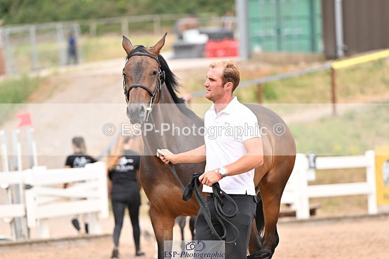 250716-154337-02166 - Trot Up 3.30 to 4.30