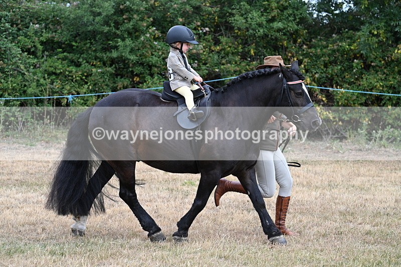 WJ7_9683 - Class 1 Lead Rein Pony