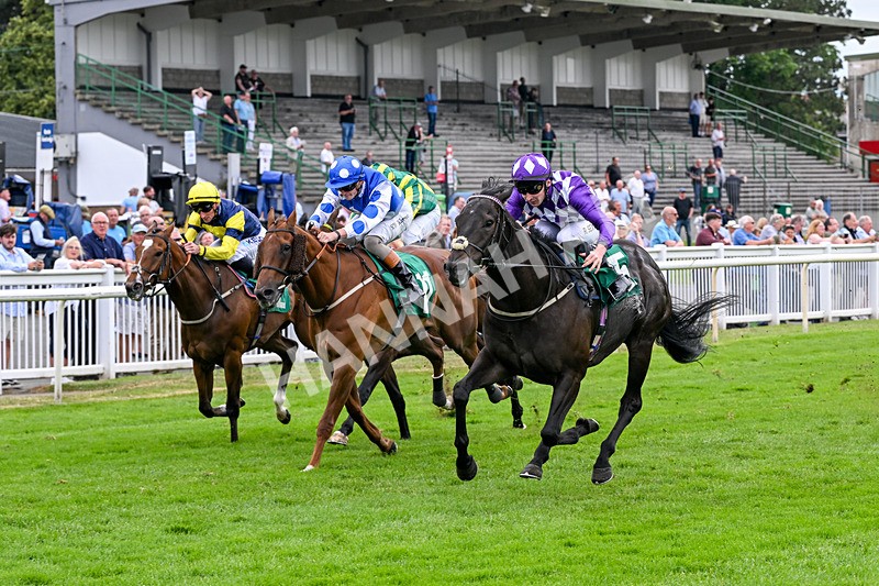 010726-Race 7-Indian Run-8884 - Race 7 16.10pm Weatherbys Global Stallions App Handicap