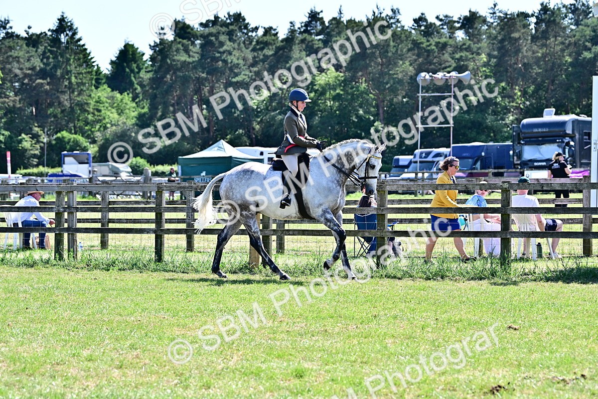 SBM_18285 - Class 99-100 - Retraining of Racehorses Ridden