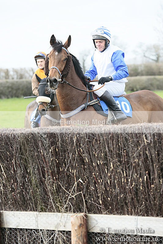 PtP 230319 216 - VWH Hunt Siddington Point-to-Point Racing 23/03/19