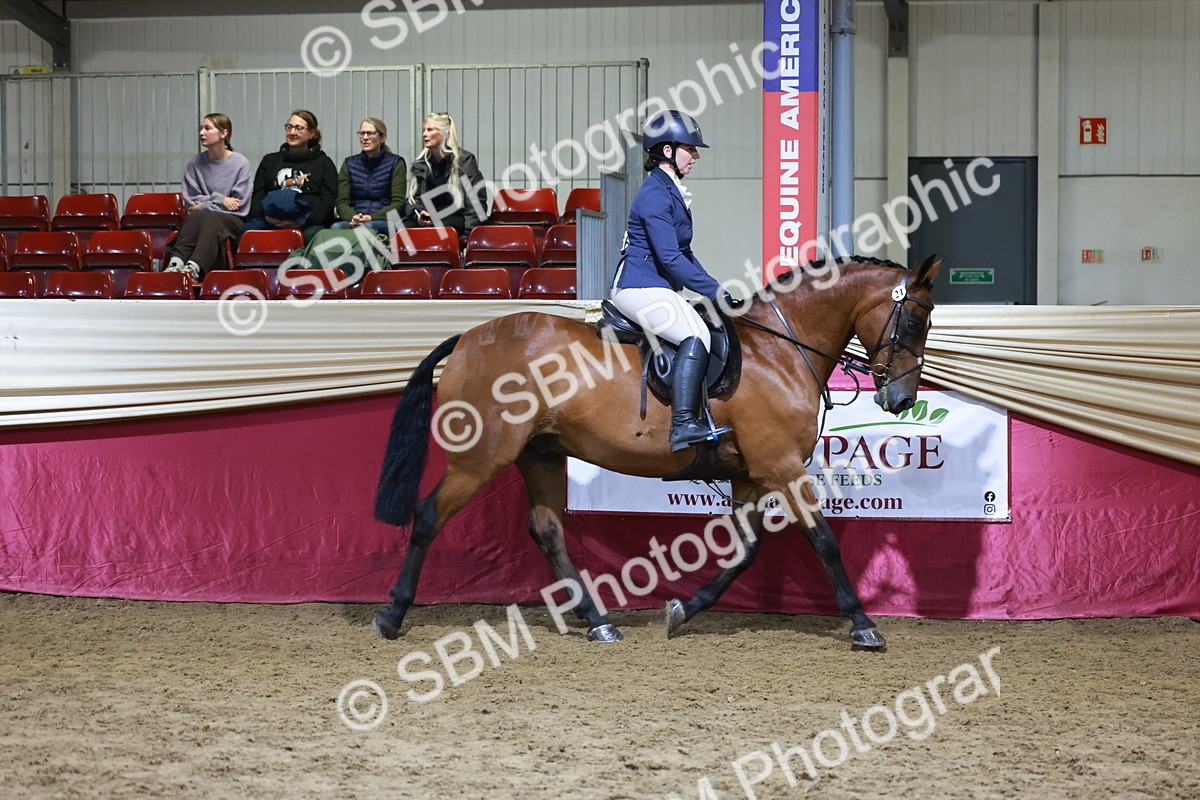 SBM_21363 - Class T - Working Veteran Champs